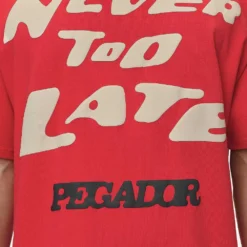 Corey Boxy Tee Washed Red -Fashigen Sales PGDR NEVER TOO LATE ECOMMERCE MALE DAY 111