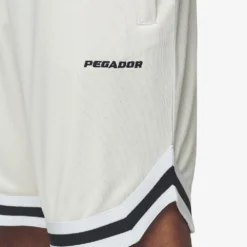 Lansing Basketball Shorts Salty Cream -Fashigen Sales PGDR Next Wave E COMMERCE MENS DAY 147151 5d7fb70d 082a 498d 9d08 ea1feb000648