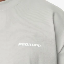 Logo Oversized Tee Washed Pearl Grey White Gum -Fashigen Sales PGDR Next Wave E COMMERCE MENS DAY 248692 309e9716 9052 4f8e 9eec 224f3997ffe0