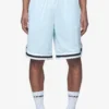 Lansing Basketball Shorts Baby Blue